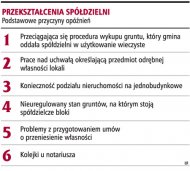 Przekształcenia spółdzielni  (Rozmiar: 46033 bajtów)