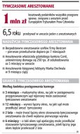 Tymczasowe aresztowanie  (Rozmiar: 83926 bajtów)