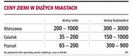 Ceny ziemi w dużych miastach  (Rozmiar: 23810 bajtów)